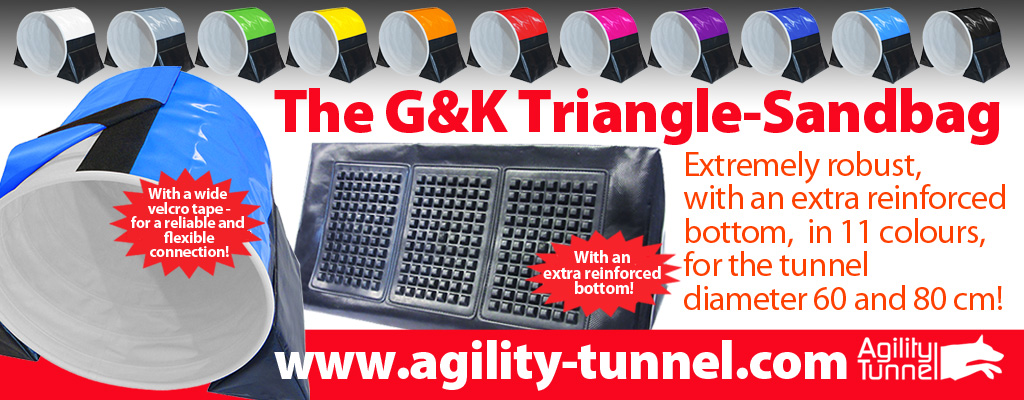 dreiecktasche webbanner en