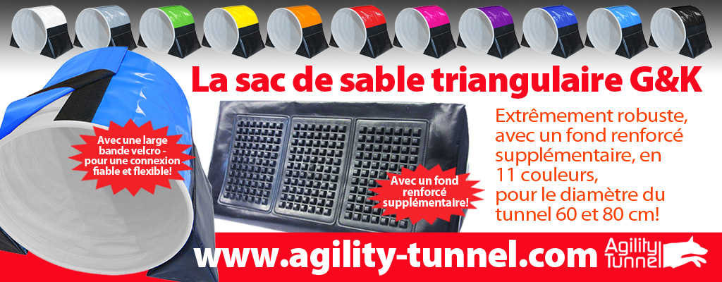 dreiecktasche webbanner fr